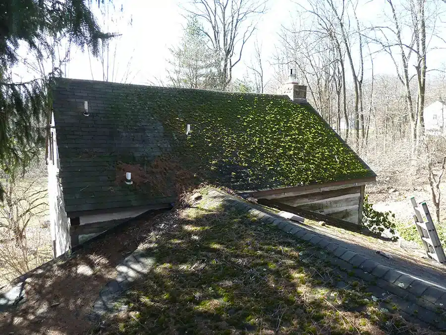 grass-covered-shingle-roof